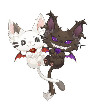 Shiro &amp; Kuro